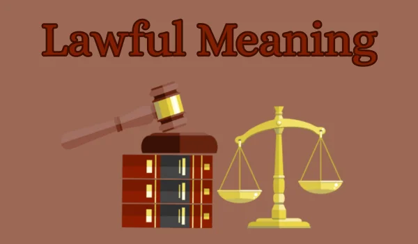 Lawful Meaning